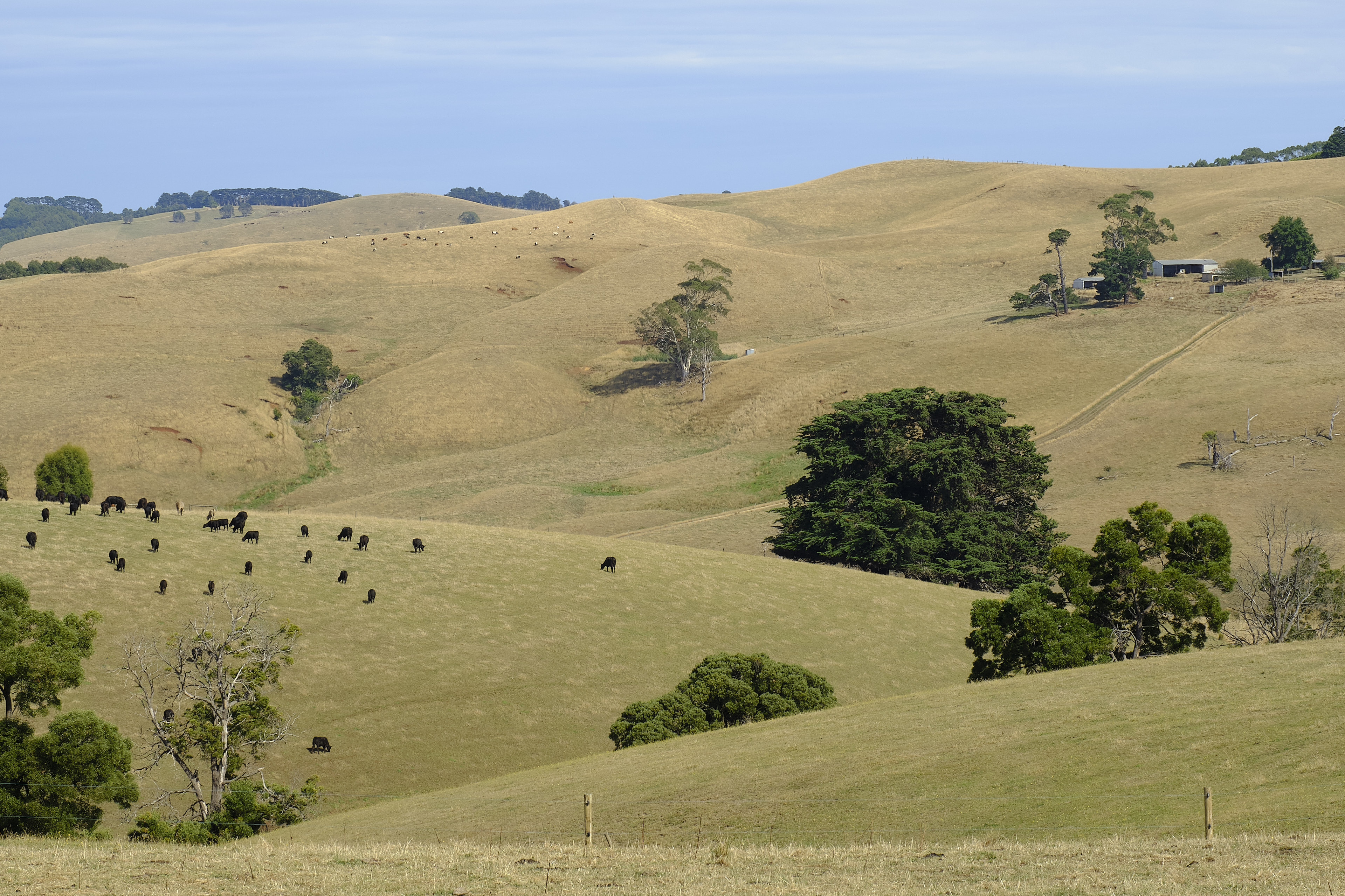 Landscape Hills